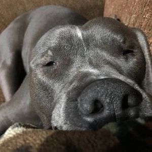 Meet your Posher, Carrie